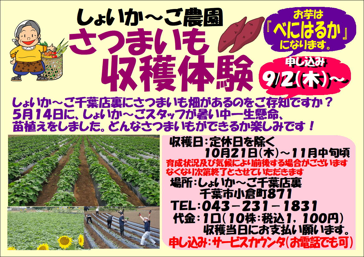 倉田農園　長芋　窪さん専用　お支払いカート 多田農園 佐藤錦 くだもの | G-Callショッピング