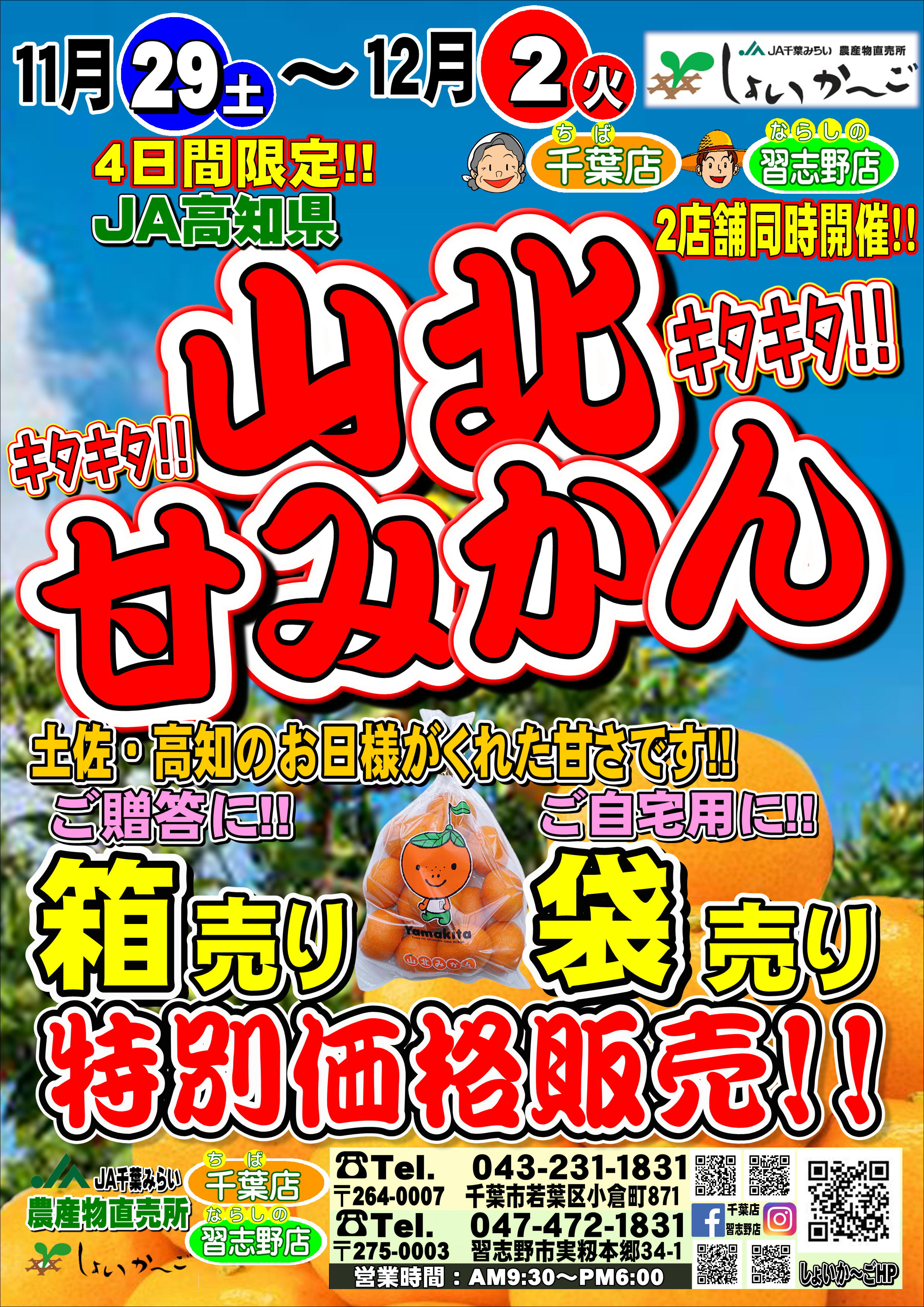 11月29日（土）～12月2日（火） 山北みかんまつり｜新着・イベント情報