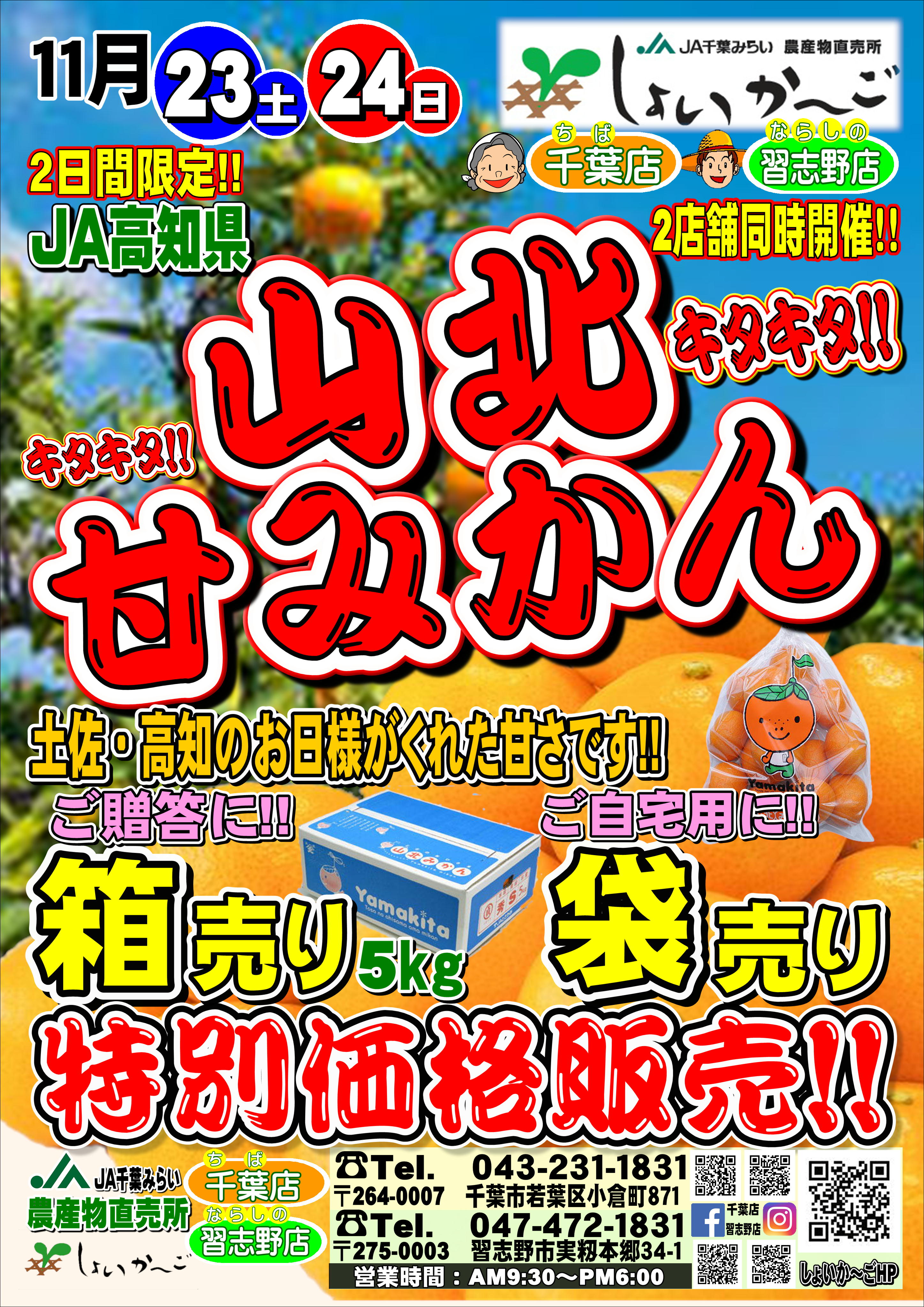 山北みかん祭り｜新着・イベント情報 | JA千葉みらい農産物直売所